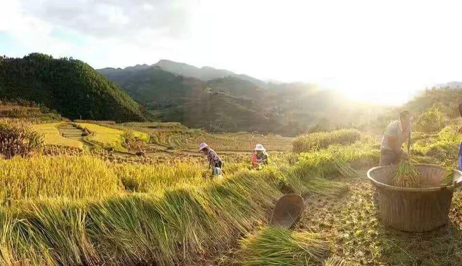 浪沃村交通迈向现代化新篇章，最新动态报道