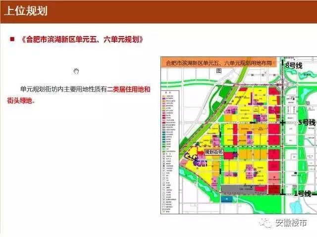 唐河县小学最新发展规划